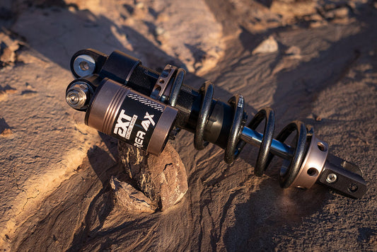EXT REA MX Shock – Ultra Bee