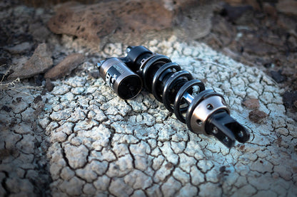 EXT REA MX Shock – Ultra Bee